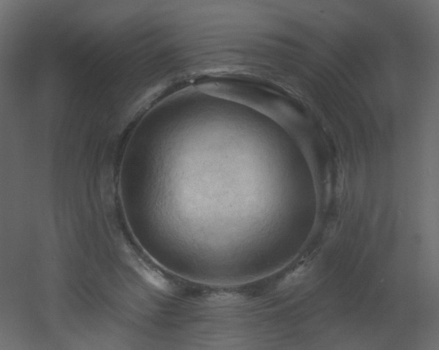 X0000053080397200507111250