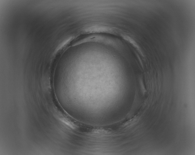 X0000053080399200507111250