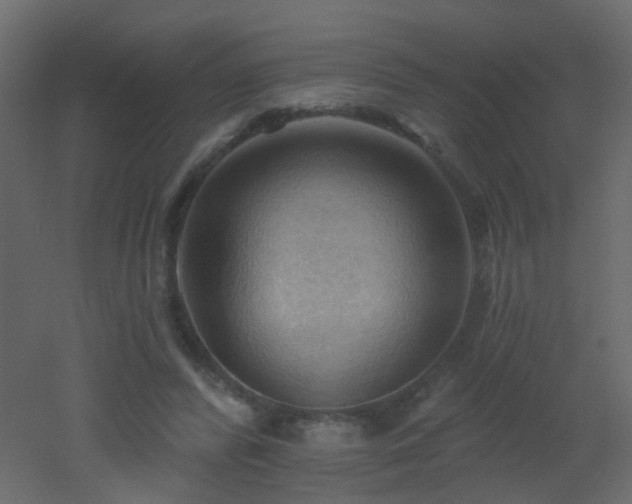 X0000053080400200507111250