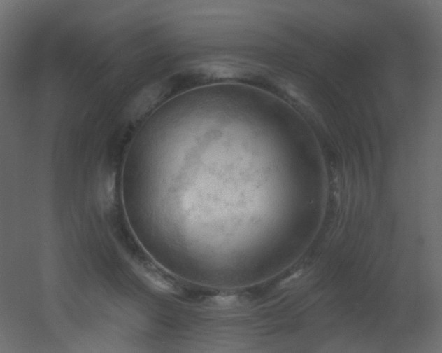 X0000053080406200507111250