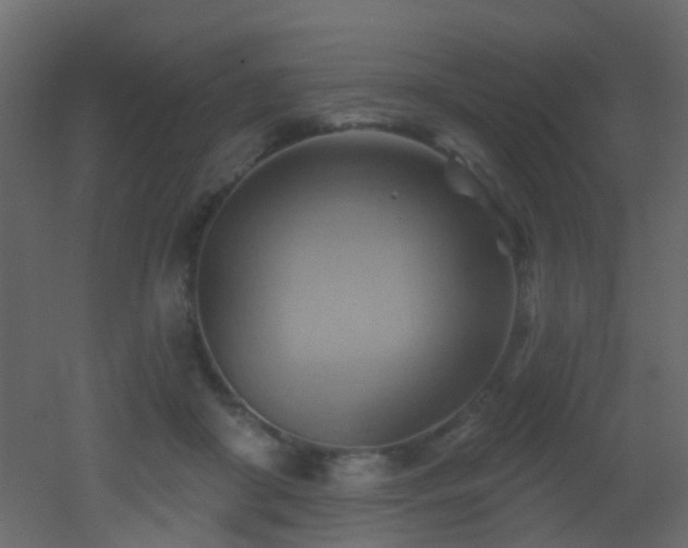 X0000053080410200507111249