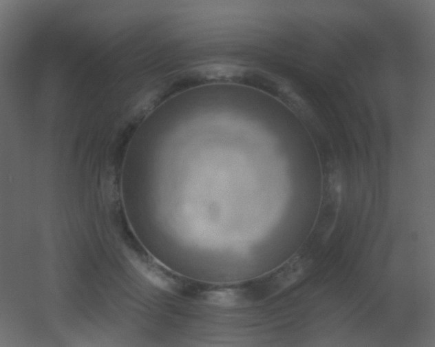 X0000053080411200507111249