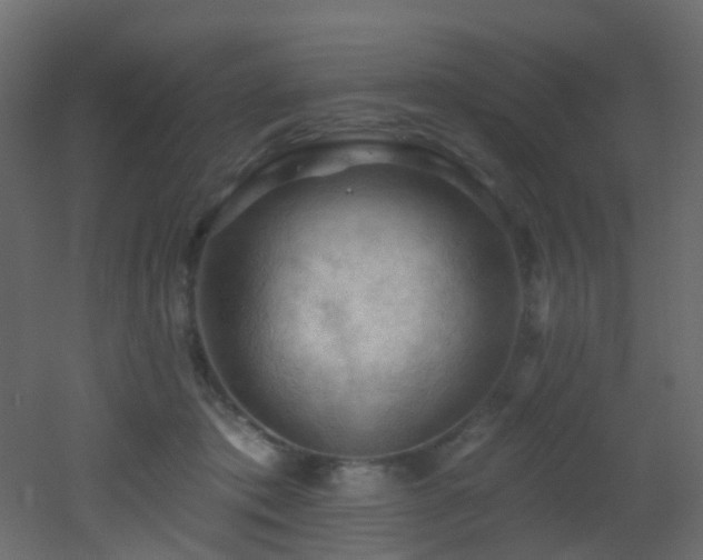 X0000053080413200507111249