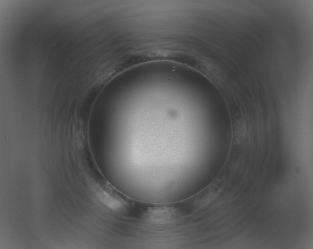 X0000053080414200507111249