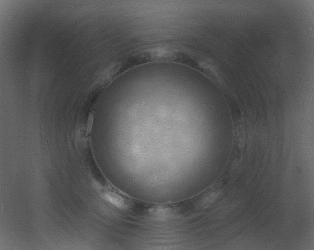 X0000053080419200507111249