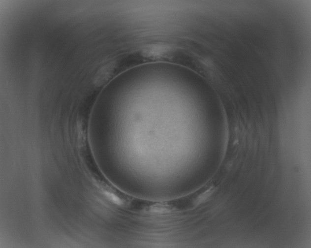 X0000053080420200507111249