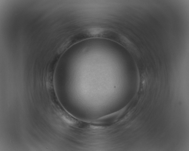 X0000053080421200507111249
