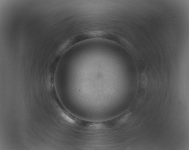 X0000053080428200507111249