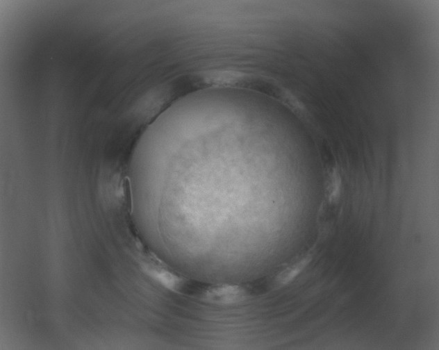 X0000053080431200507111249
