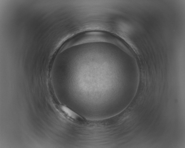 X0000053080434200507111248
