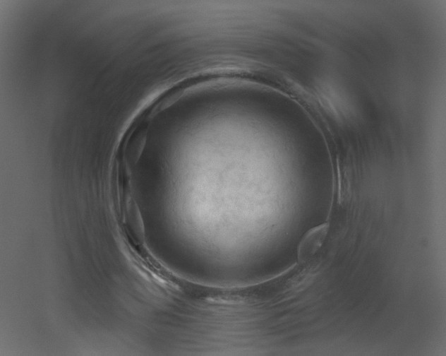 X0000053080435200507111248