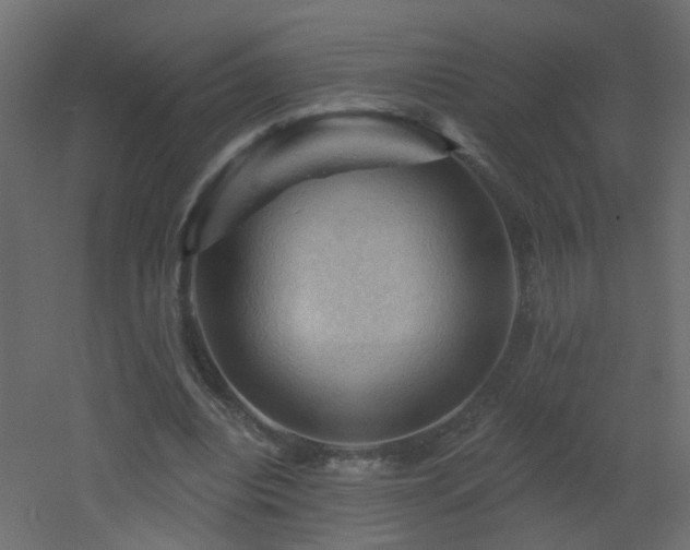 X0000053080440200507111248