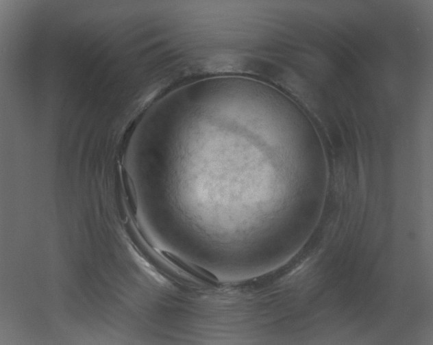 X0000053080441200507111248