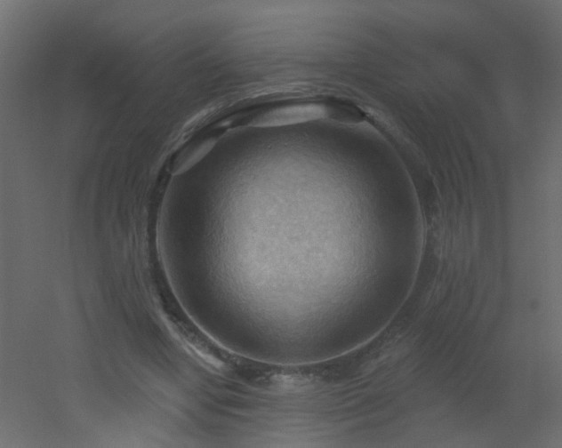 X0000053080442200507111248