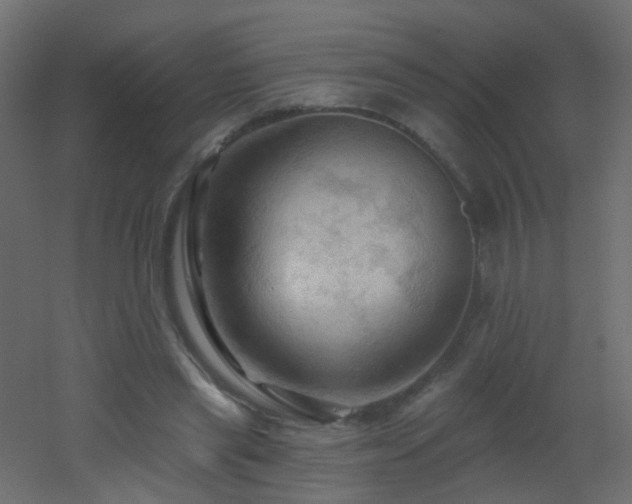X0000053080445200507111248