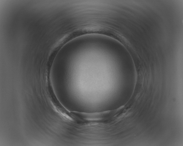 X0000053080446200507111248