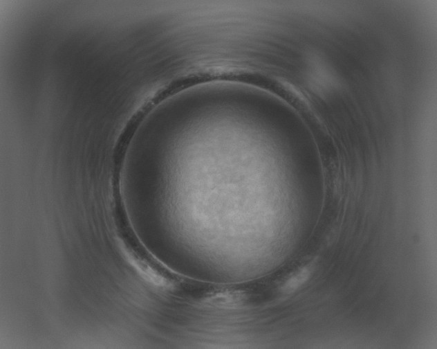 X0000053080447200507111248