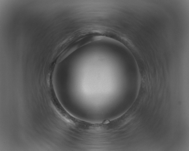 X0000053080454200507111249