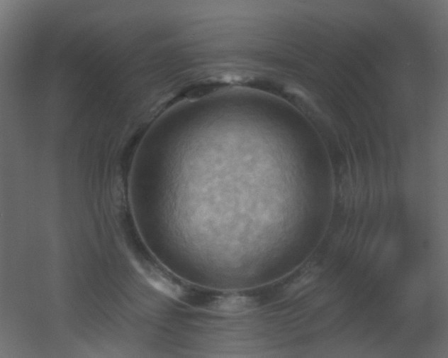 X0000053080459200507111249
