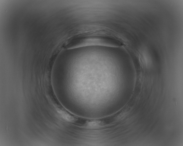 X0000053080461200507111249