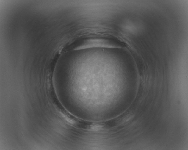 X0000053080462200507111249