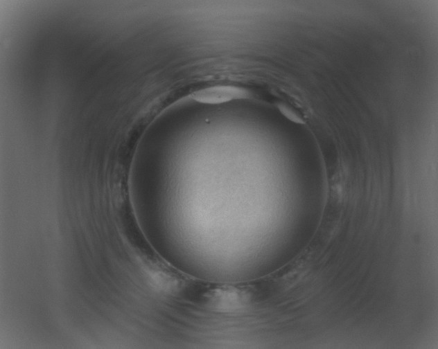X0000053080464200507111249