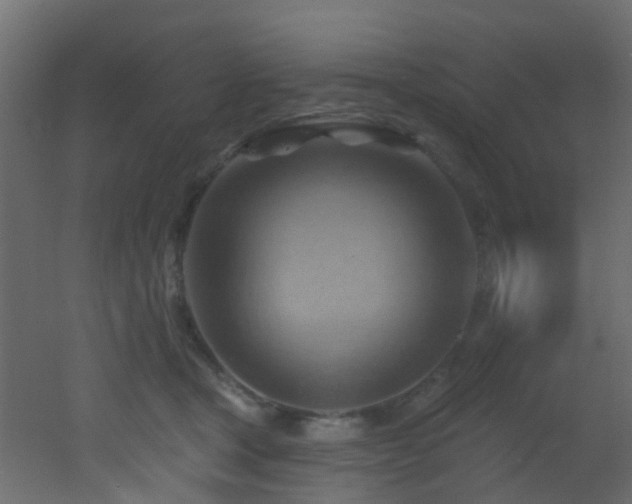 X0000053080465200507111249