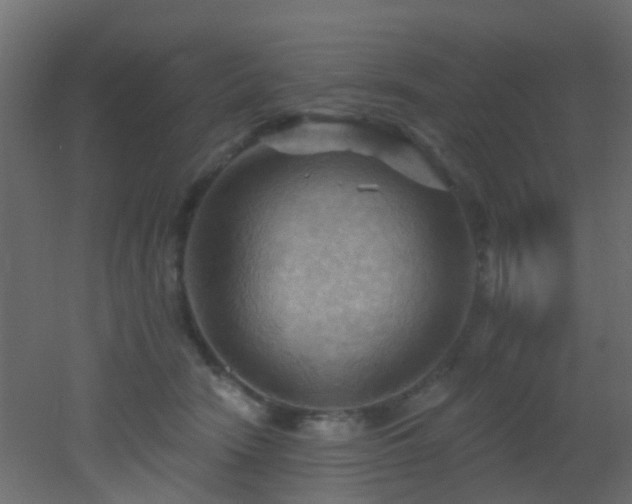 X0000053080466200507111249