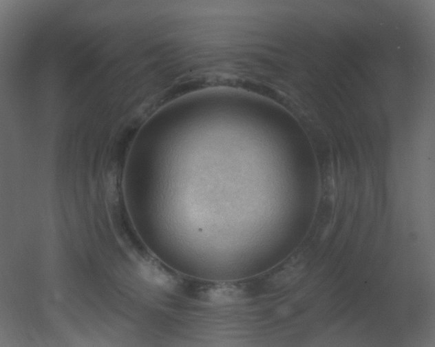 X0000053080468200507111249