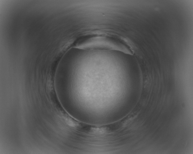 X0000053080469200507111249