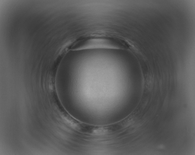 X0000053080470200507111249