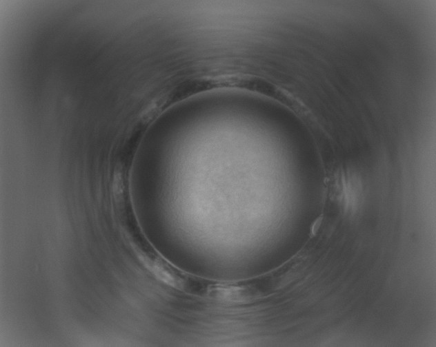 X0000053080472200507111249