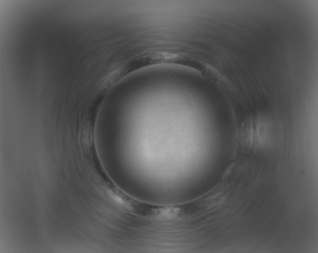 X0000053080474200507111249