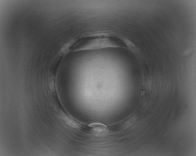 X0000053080477200507111249