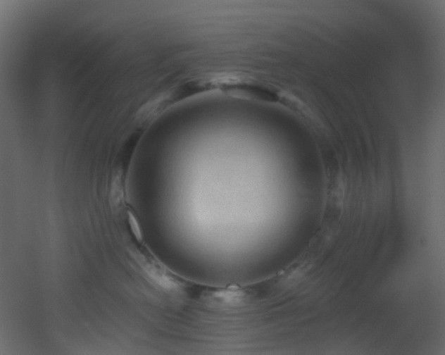 X0000053080478200507111249