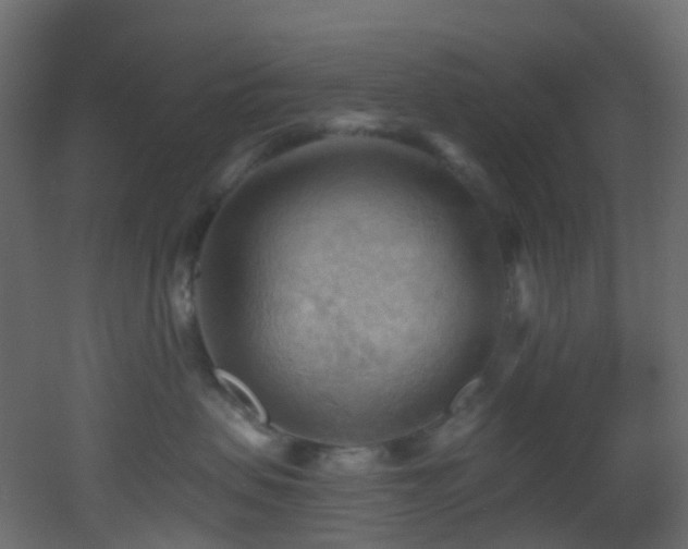 X0000053080479200507111249