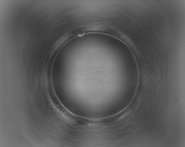 X0000053080482200507111248