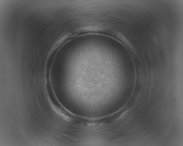 X0000053080486200507111248