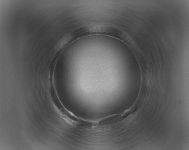 X0000053080490200507111248