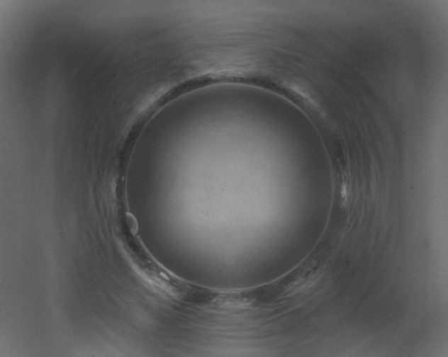 X0000053080491200507111248