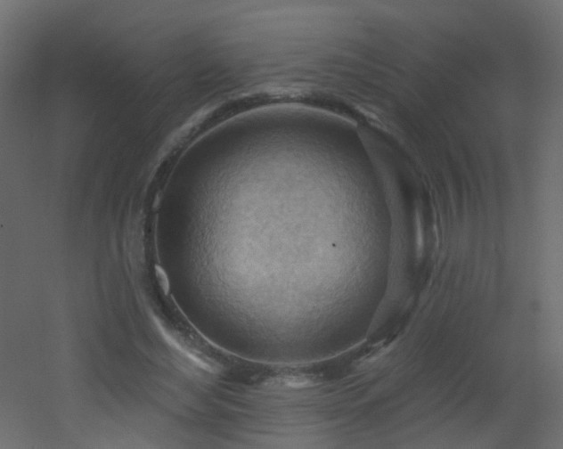 X0000053080492200507111248