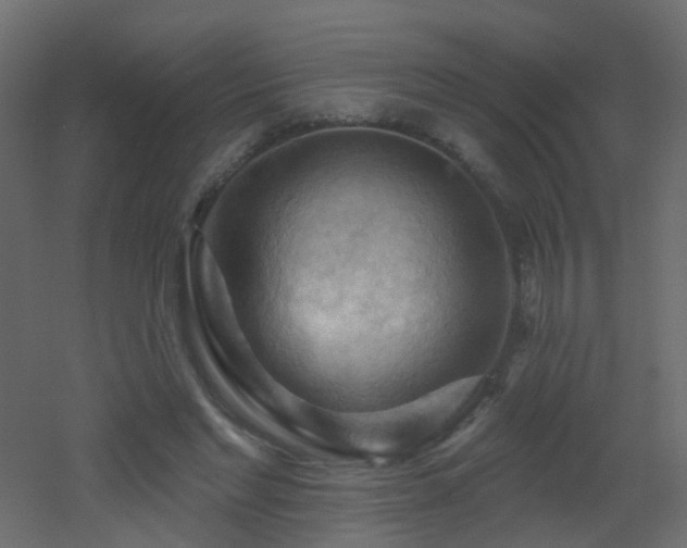 X0000053080493200507111248