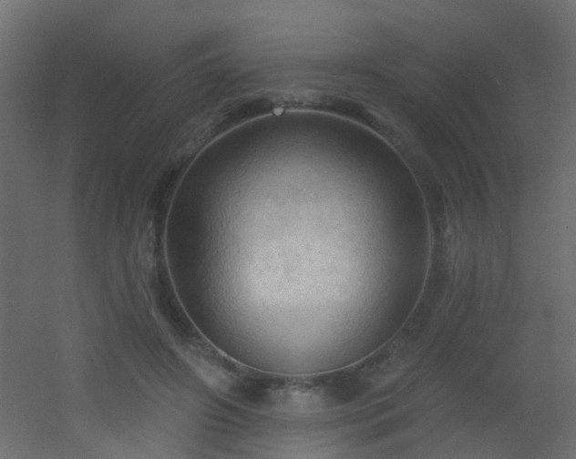 X0000053080498200507111248