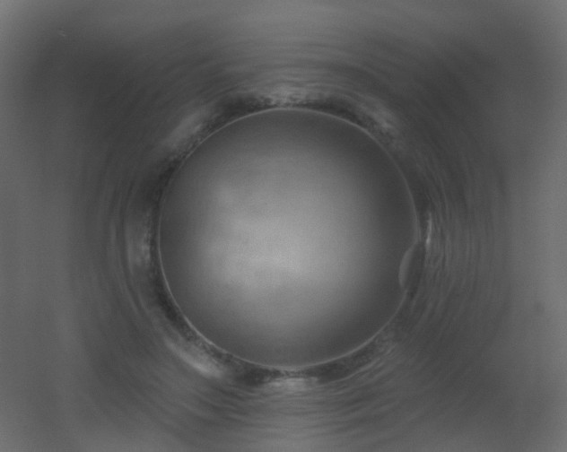 X0000053080499200507111248