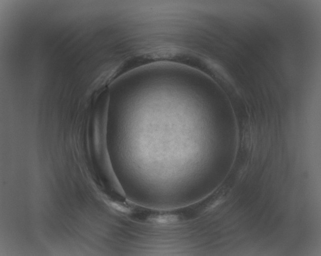 X0000053080501200507111248