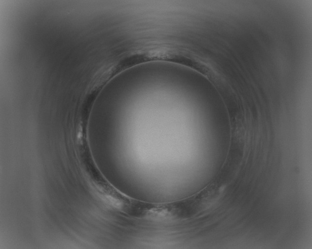 X0000053080502200507111248