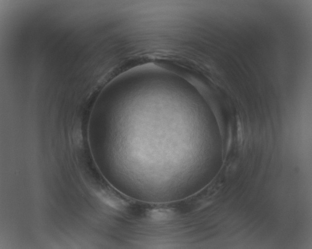 X0000053080508200507111248