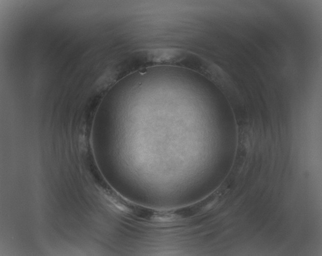 X0000053080510200507111248