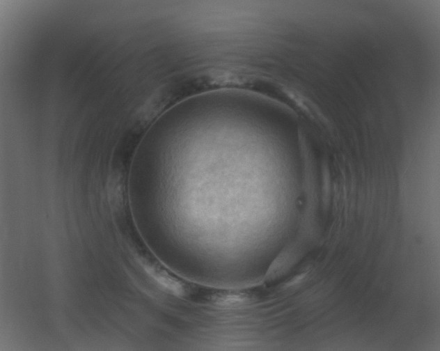 X0000053080513200507111248