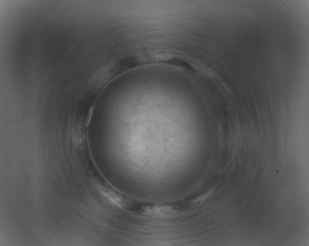 X0000053080517200507111248